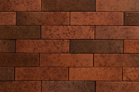 Тайга морион на заре 1нф