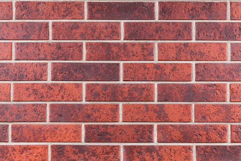 Тайга вулканы Красный оберег 1нф