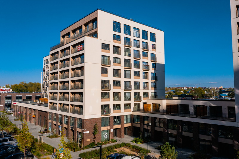 Тайга морион на заре 1нф