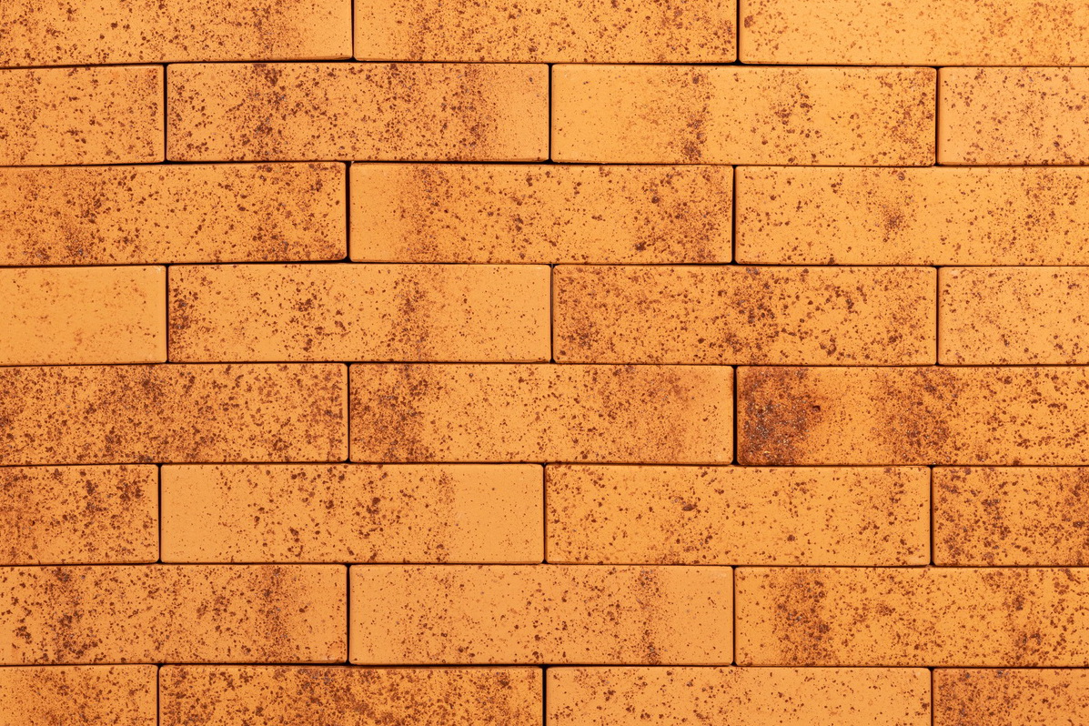 Тайга морошка 1нф