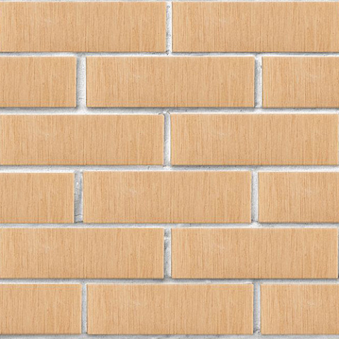 Кирпич ЛСР лицевой керамический пустотелый 1НФ